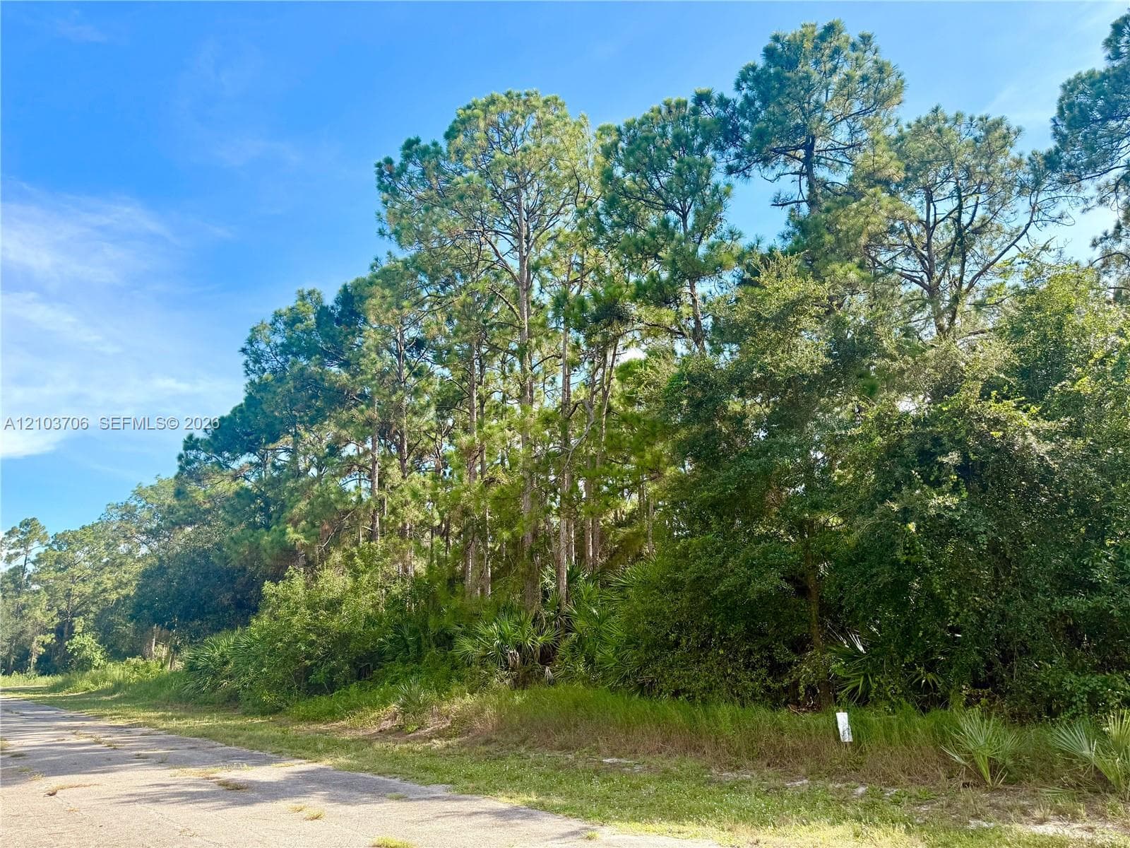 106 ROSEMONT PL, La Belle FL 33935