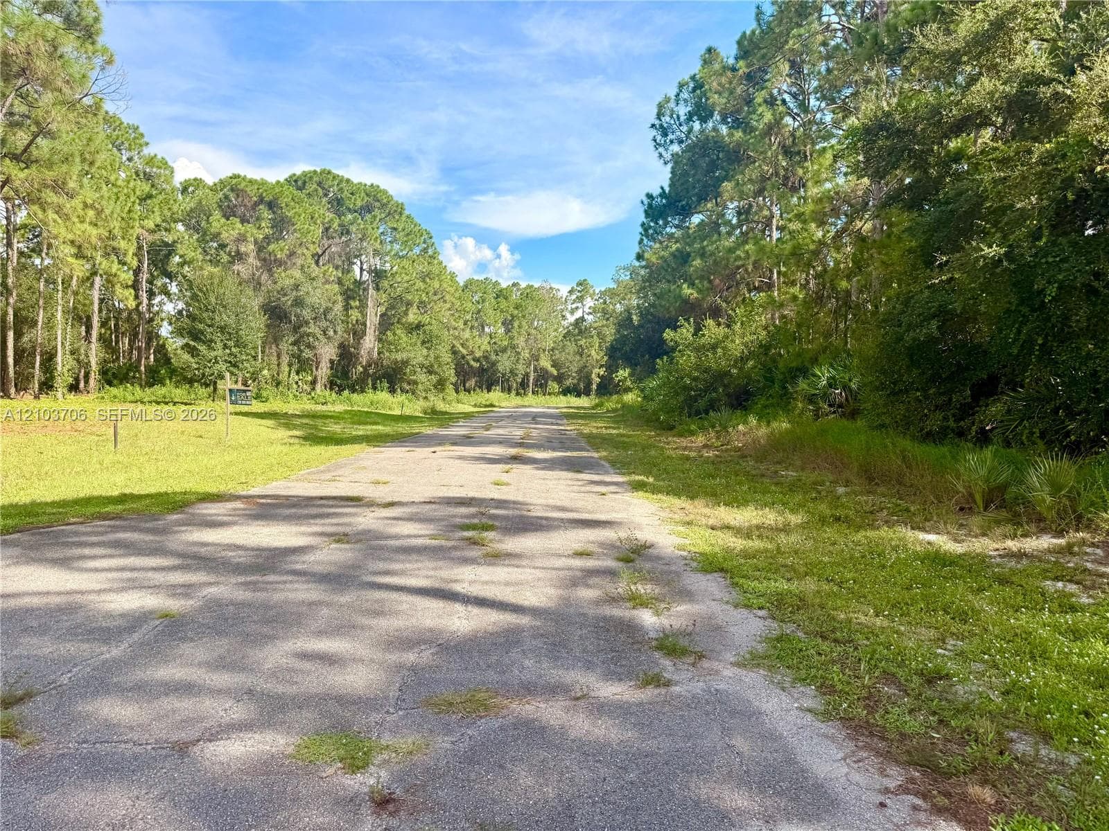 106 ROSEMONT PL, La Belle FL 33935