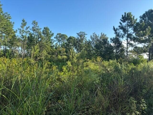 720 Parrot Avenue, Sebring FL 33872