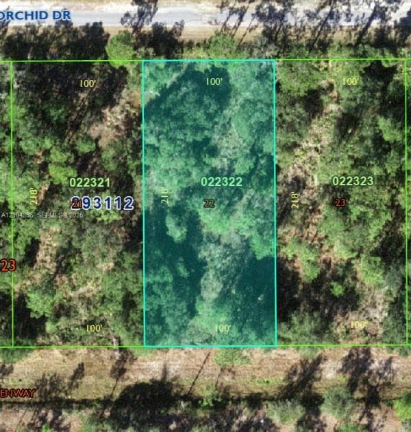 905 ORCHID DR, Other City - In The State Of Florida FL 33855