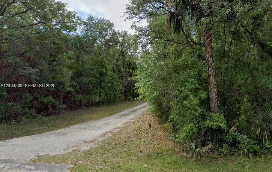 Lots 34 & 59 NE 138th Ct, Other City - In The State Of Florida FL 32134