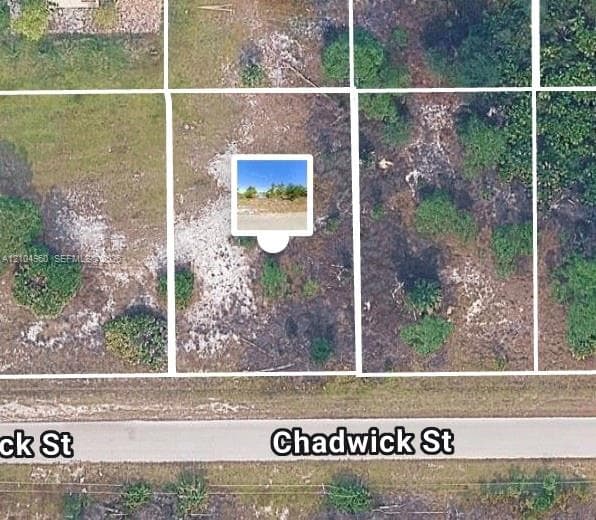 1043 Chadwick st, Lehigh Acres FL 33974