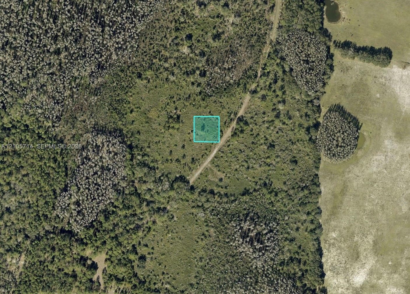 0 Moore Rd, Lakeland FL 33809