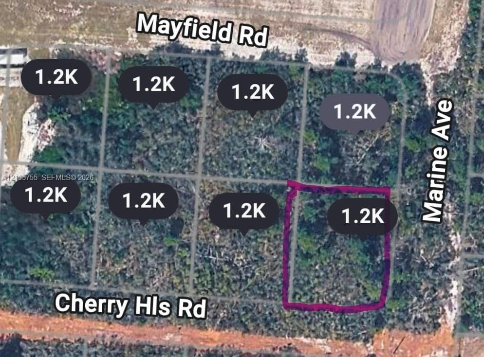 25139 Marine Ave, Sebring FL 33875