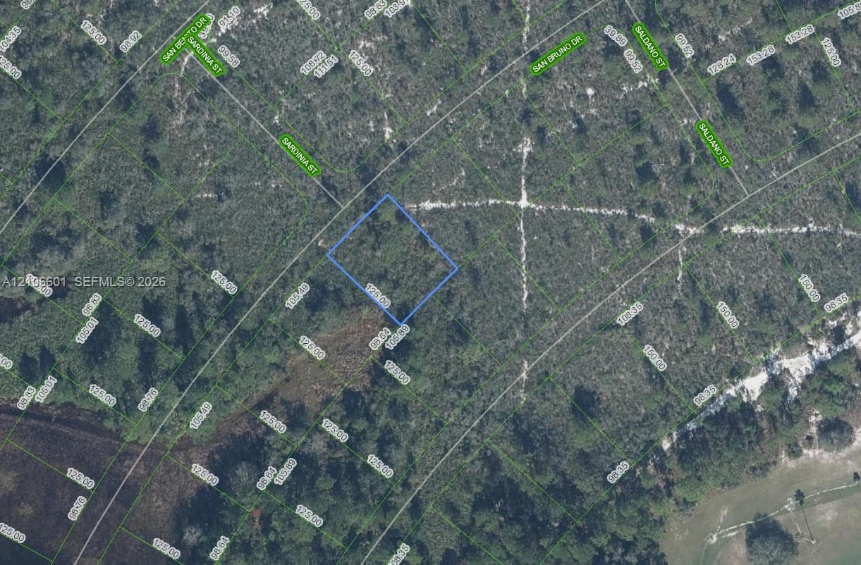 6579 San Bruno Drive, Sebring FL 33872