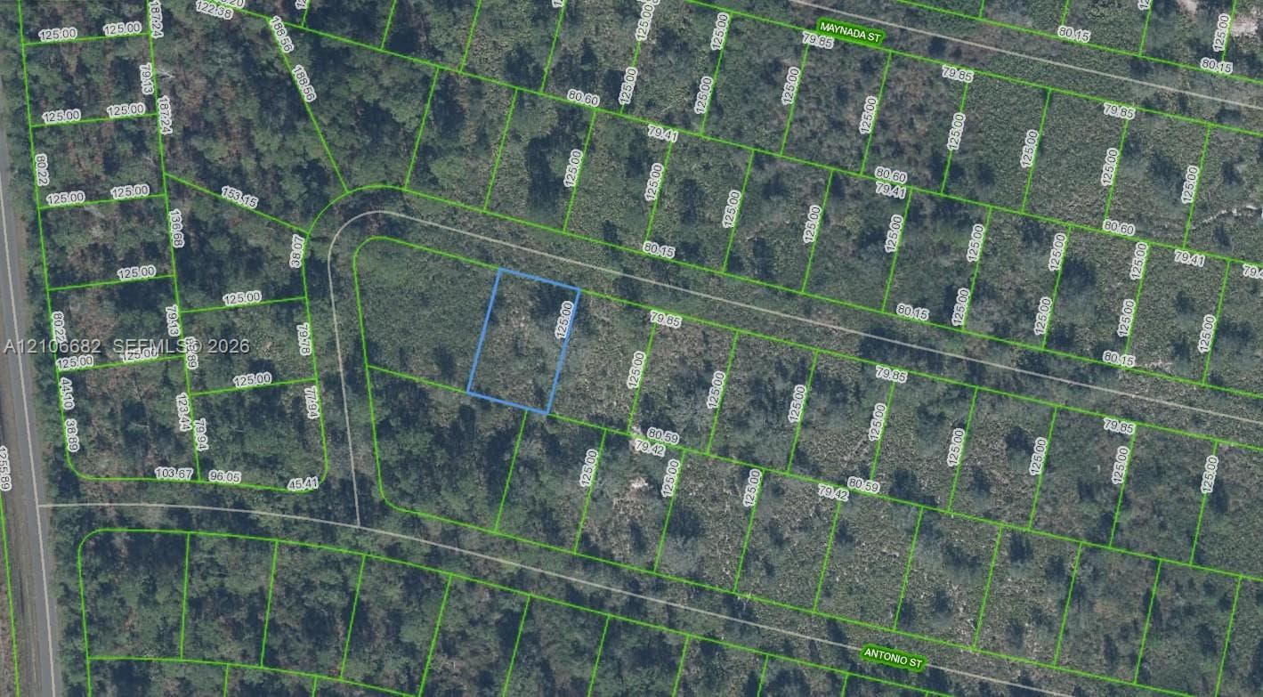 8729 Cicely Drive, Sebring FL 33872