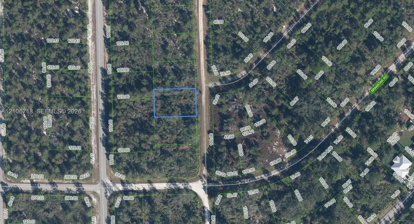 3292 Gossamer Avenue, Lake Placid FL 33852
