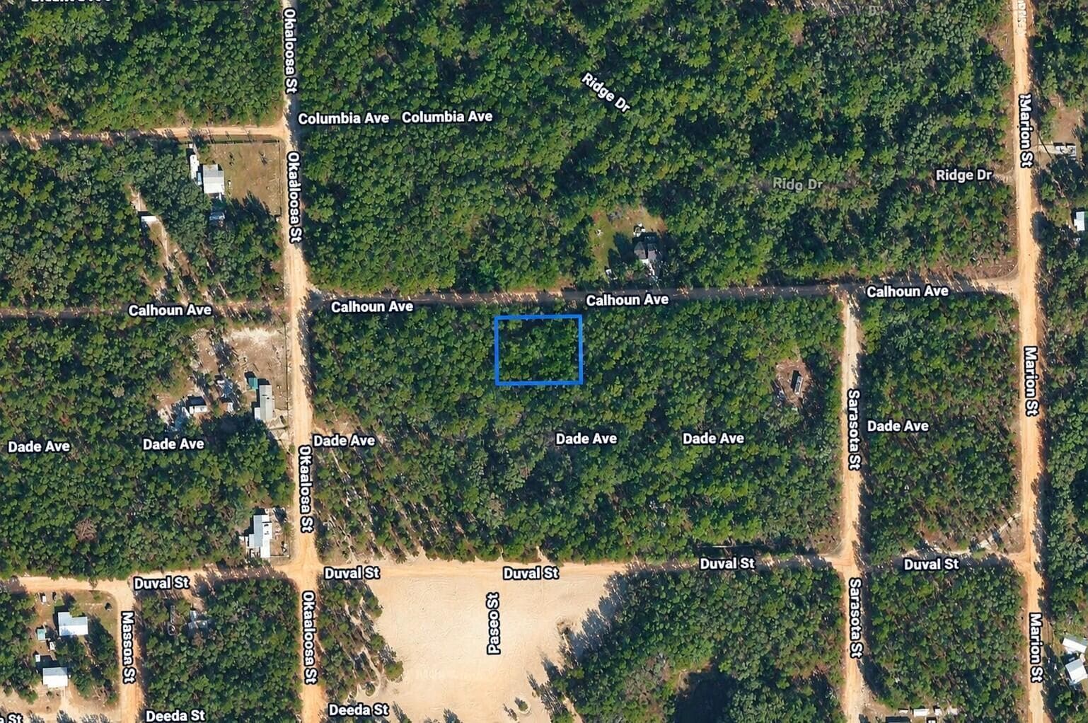 313 CALHOUN Avenue, FL 32140