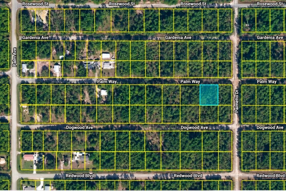 337 PALM Way, FL 32139