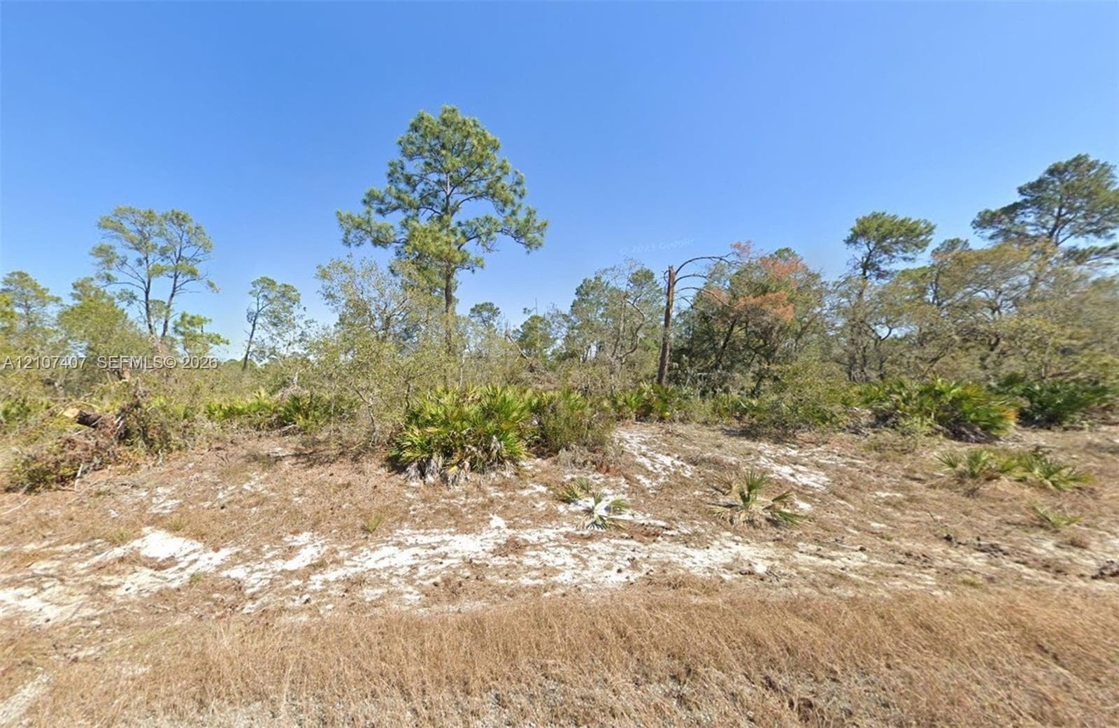 715 Scott St, Lake Placid FL 33852