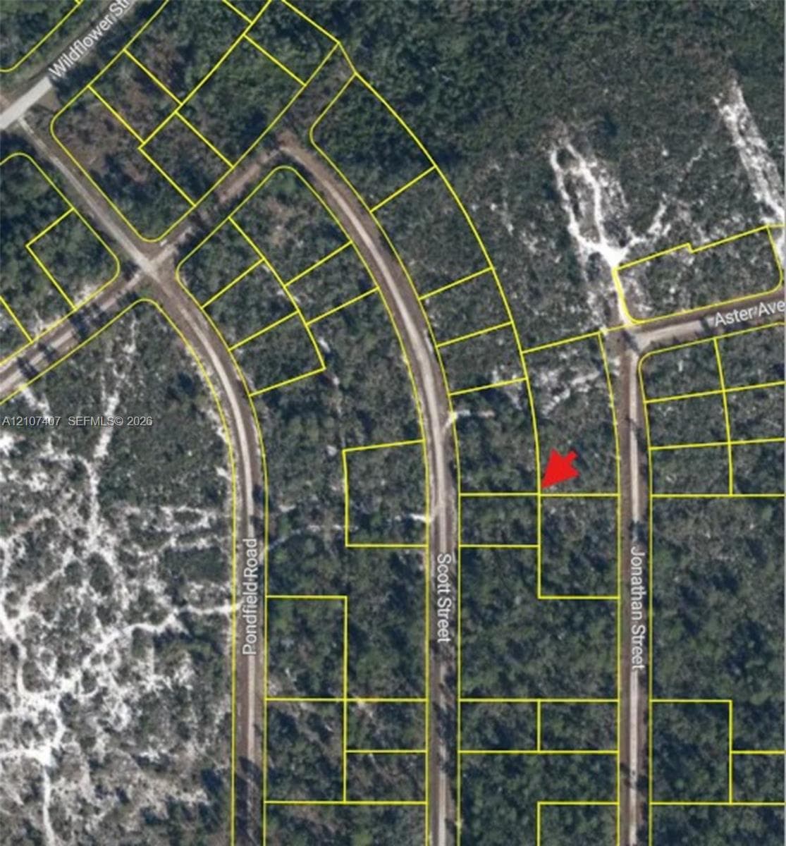 715 Scott St, Lake Placid FL 33852