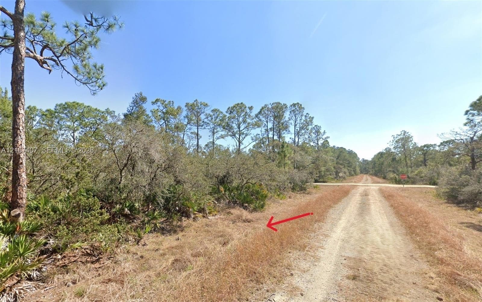 715 Scott St, Lake Placid FL 33852