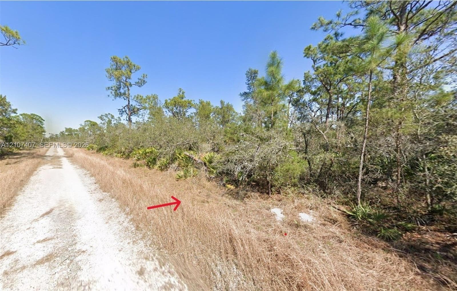 715 Scott St, Lake Placid FL 33852