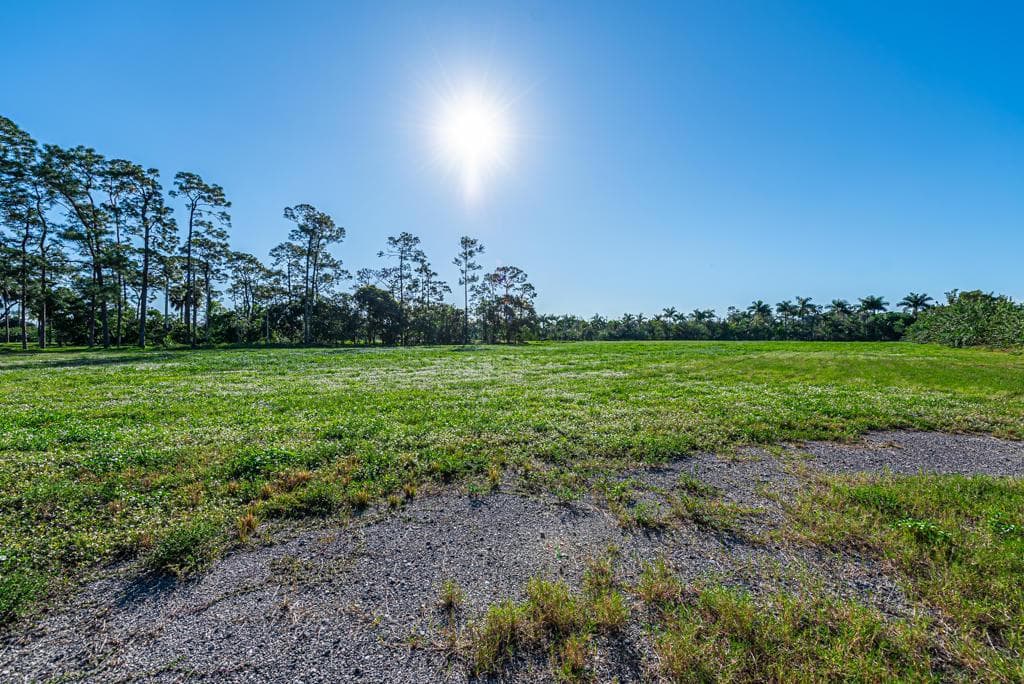 Commercial Lot