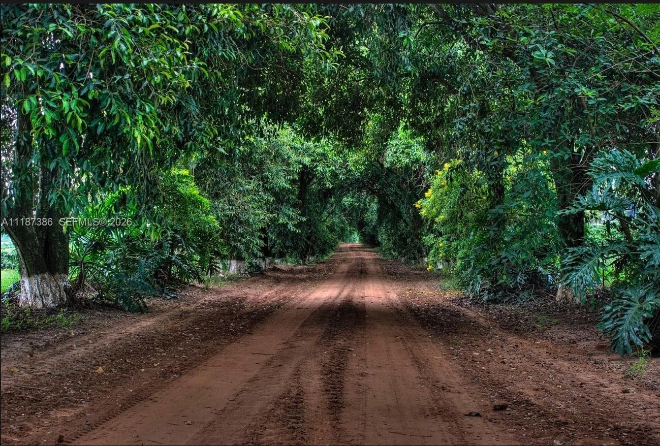Rodovia Luis Augusto de Oliveira, SP 13590-000
