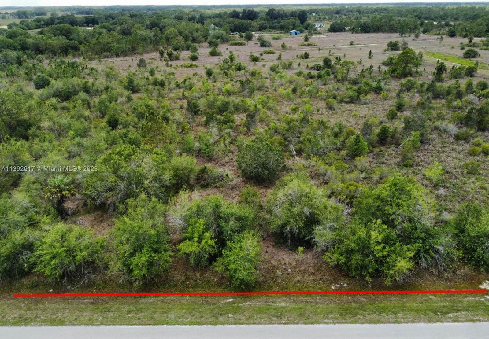 trees on property