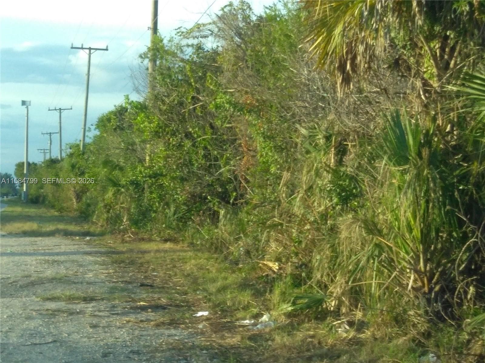 STREET VIEW WITH ELECTRICITY NEAR LOT