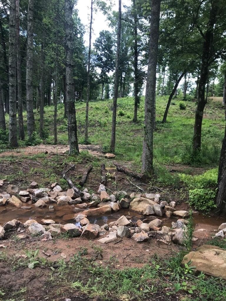 Yonah Lake Dr Lot 6, GA 30571