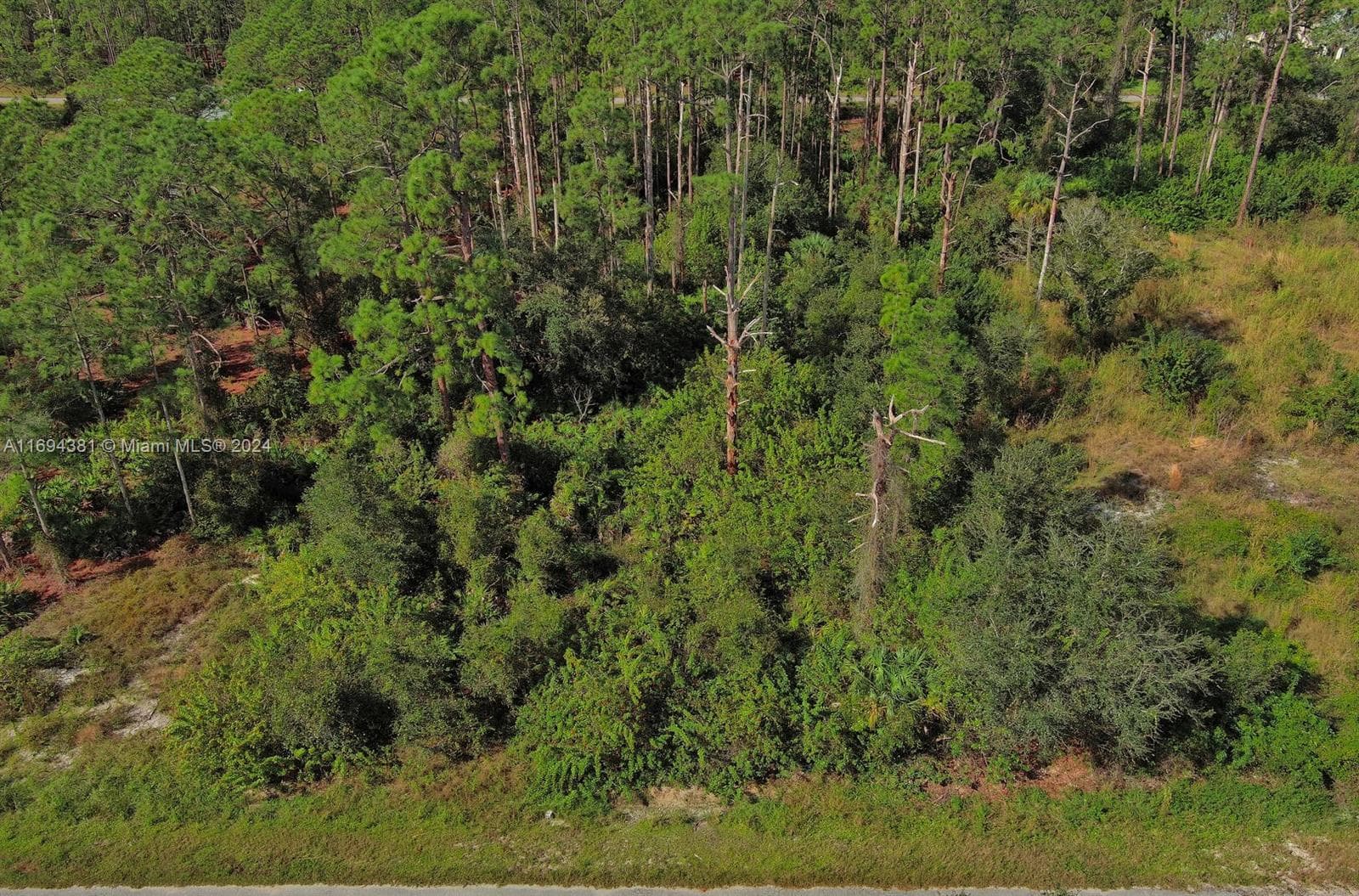 1515 Glenn Ave, Lehigh Acres FL 33972