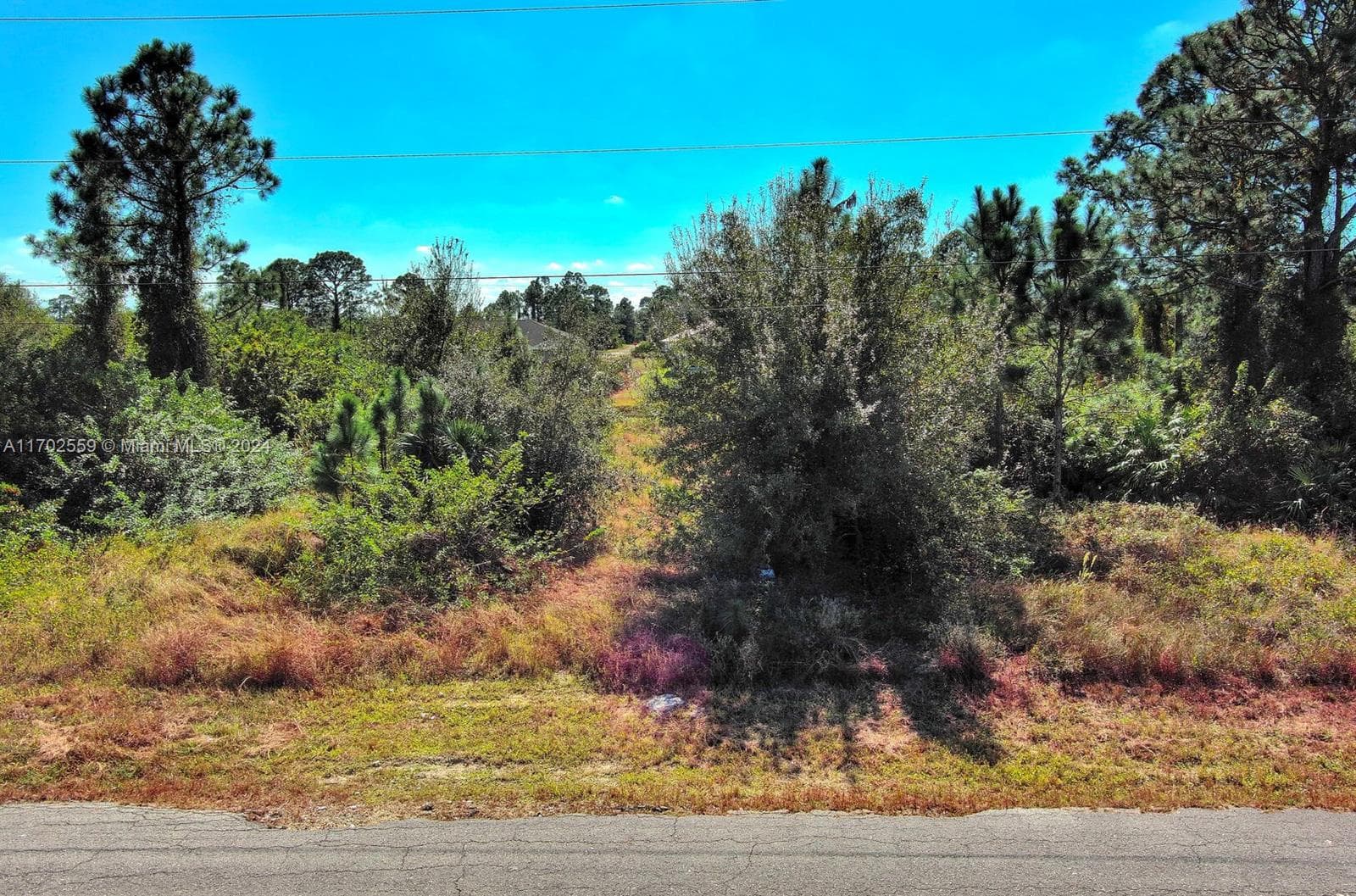 844 Carbon St E, Lehigh Acres FL 33974