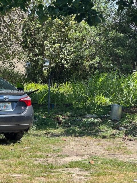 10250 SW 177 st, Miami FL 33157