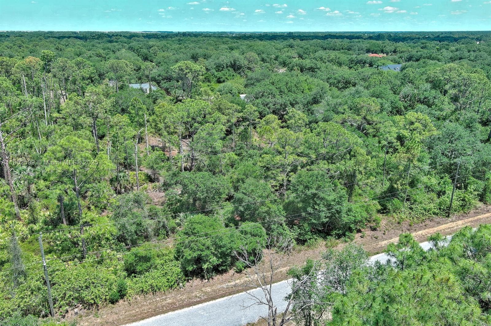1908 MCARTHUR AVE, Lehigh Acres FL 33972
