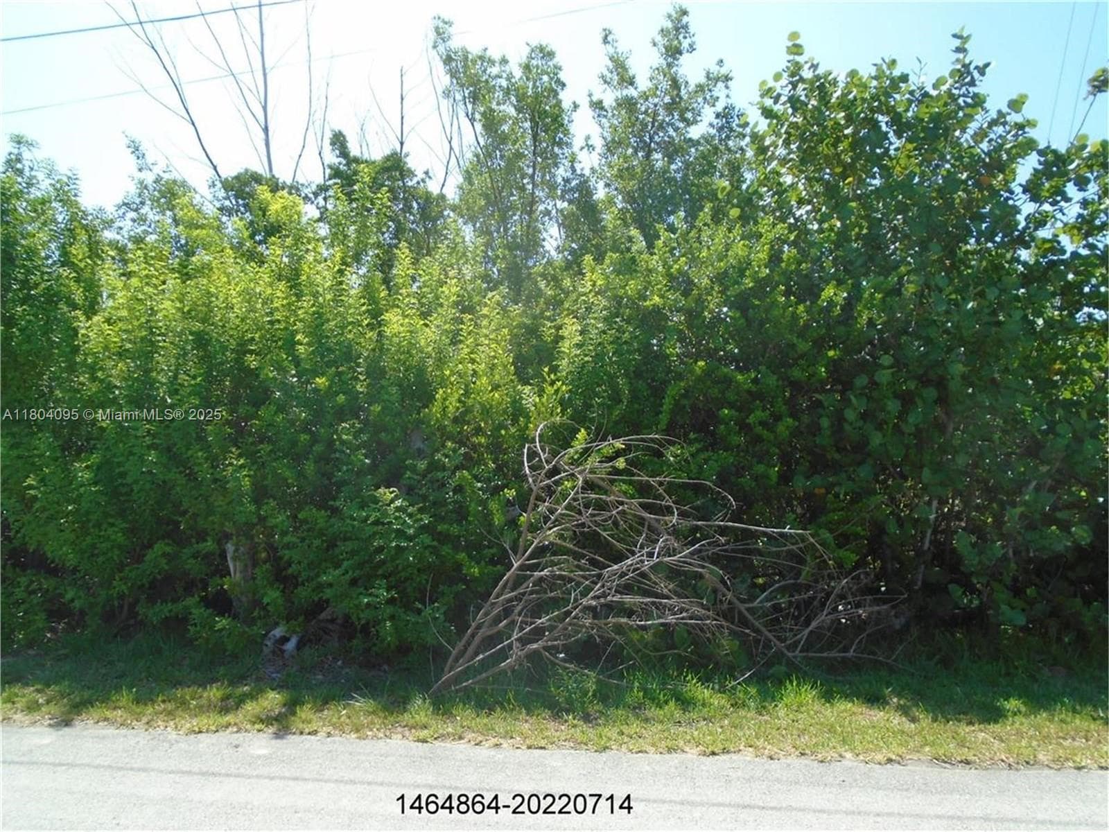 113 Jamaica St, Duck FL 33050