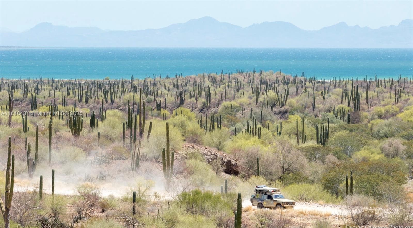 the beauty of Baja
