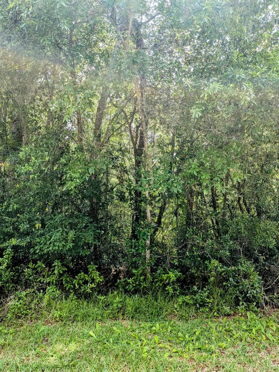 PXL_20250613_184715780~2