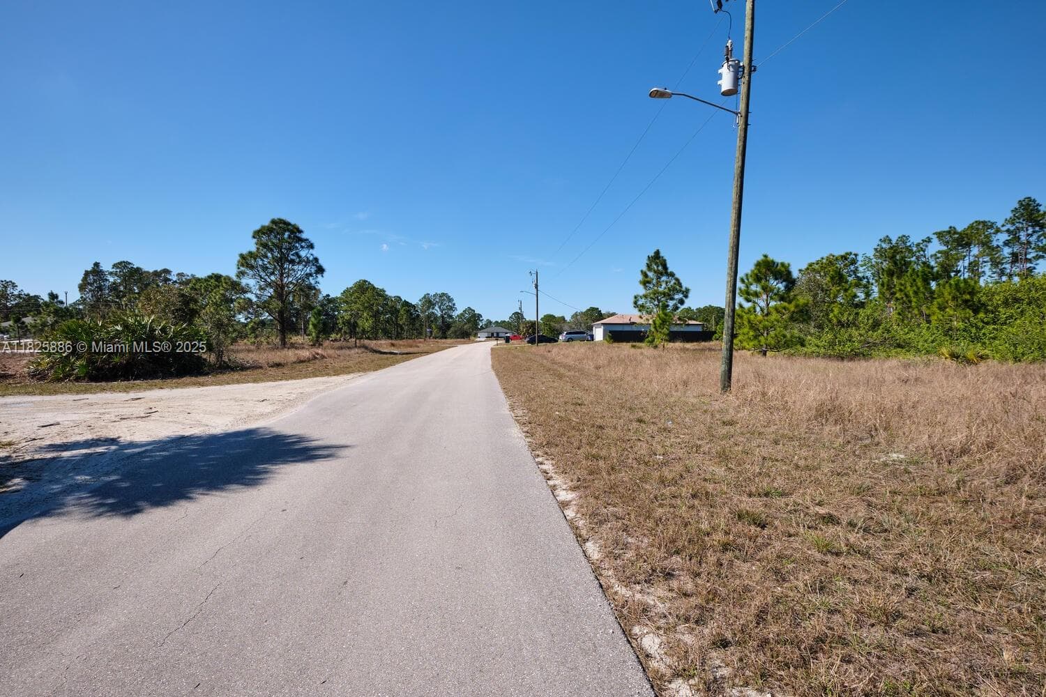 1025 E WINTERS STREET, Lehigh Acres FL 33974