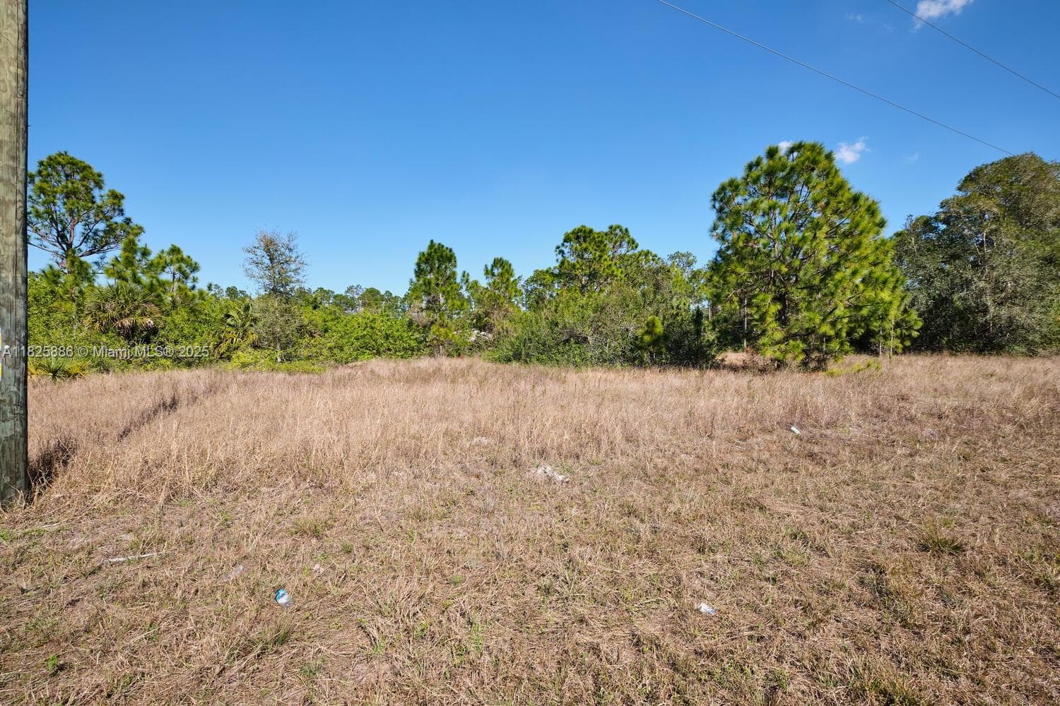 1025 E WINTERS STREET, Lehigh Acres FL 33974