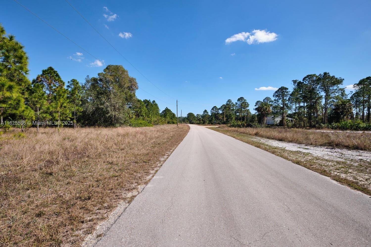1025 E WINTERS STREET, Lehigh Acres FL 33974