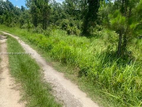 0 DEEN STILL RD E, Other City - In The State Of Florida FL 33868