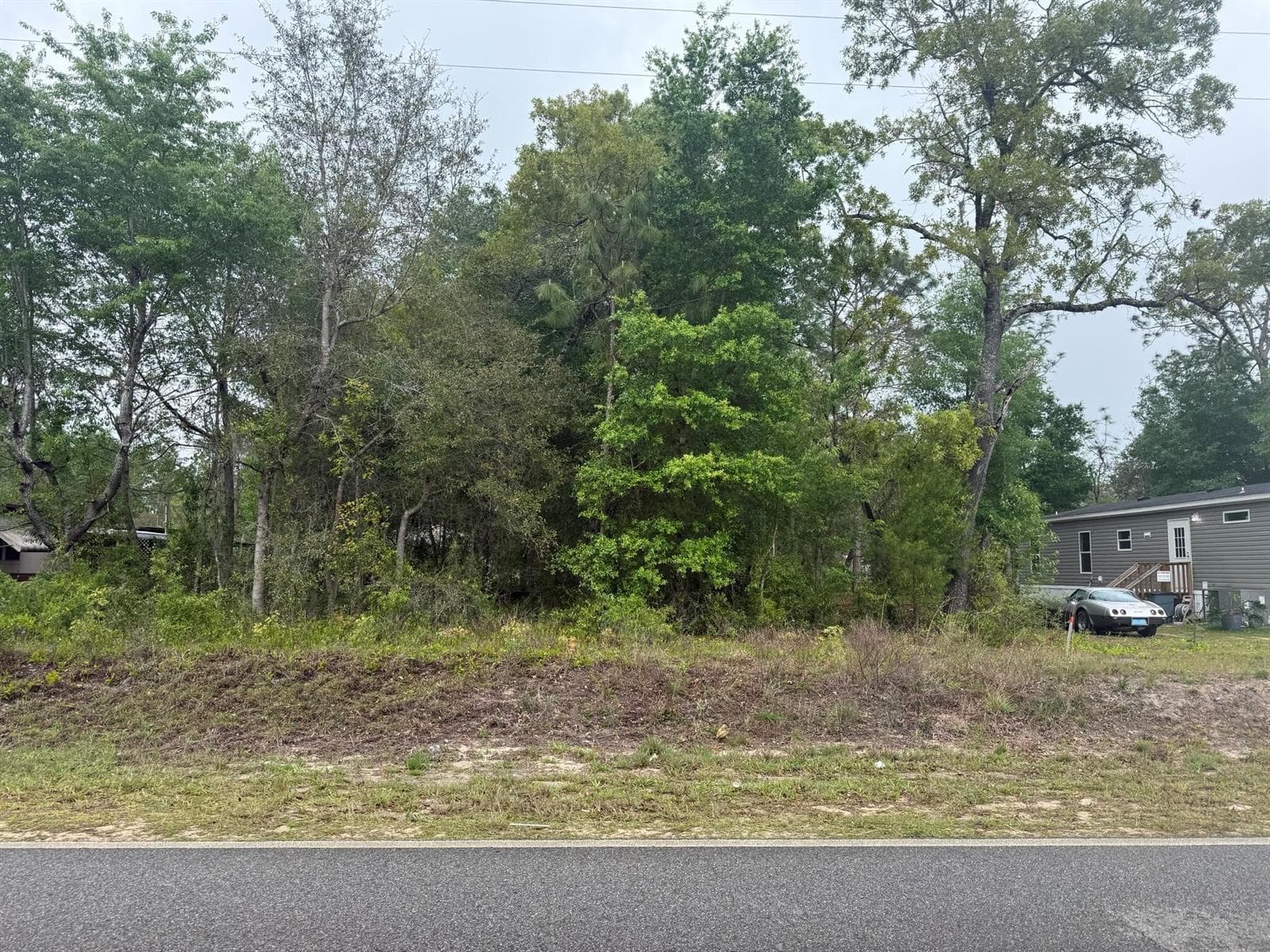 IMG_9667_1