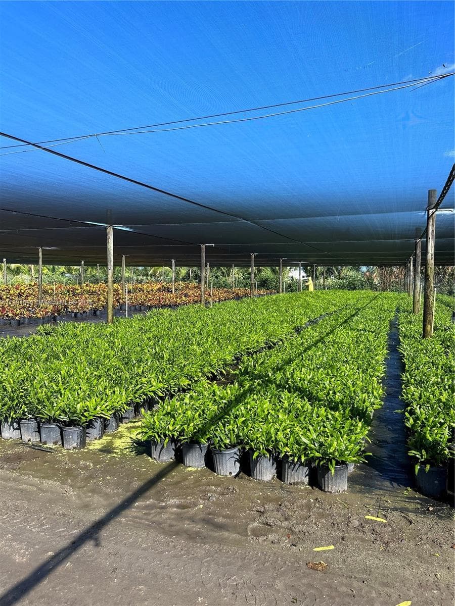 krome, Homestead FL 33034