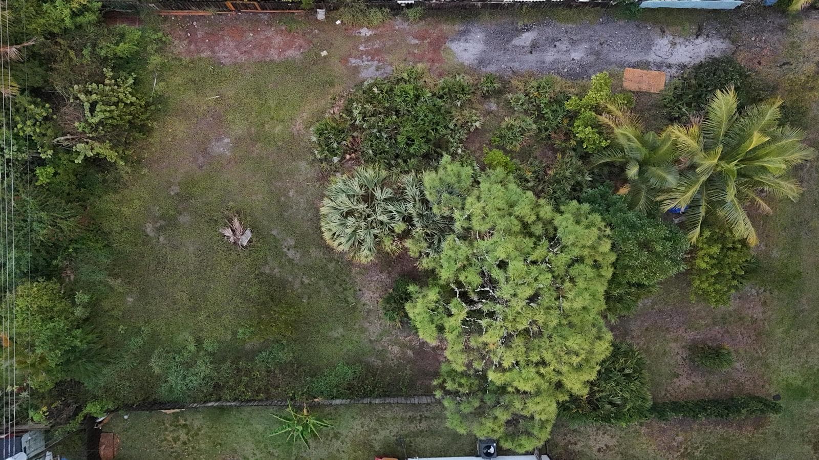 DJI_20250219175438_0362_D