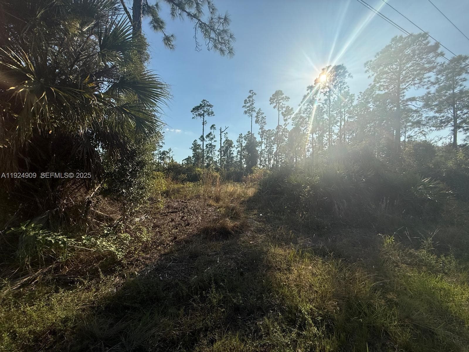 1088/1090 Ainsworth ST E, Lehigh Acres FL 33974