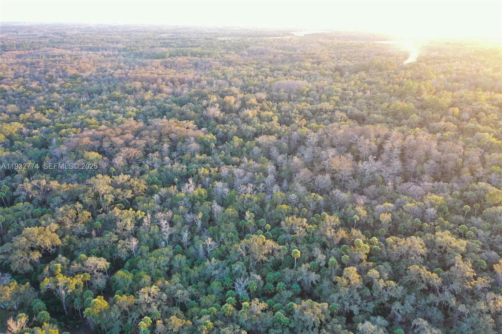13254 E SHAWNEE TRL, Inverness FL 34450