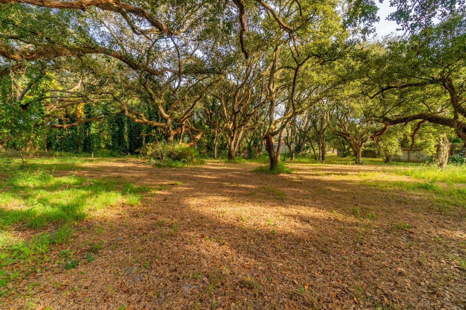 DSC05725-HDR