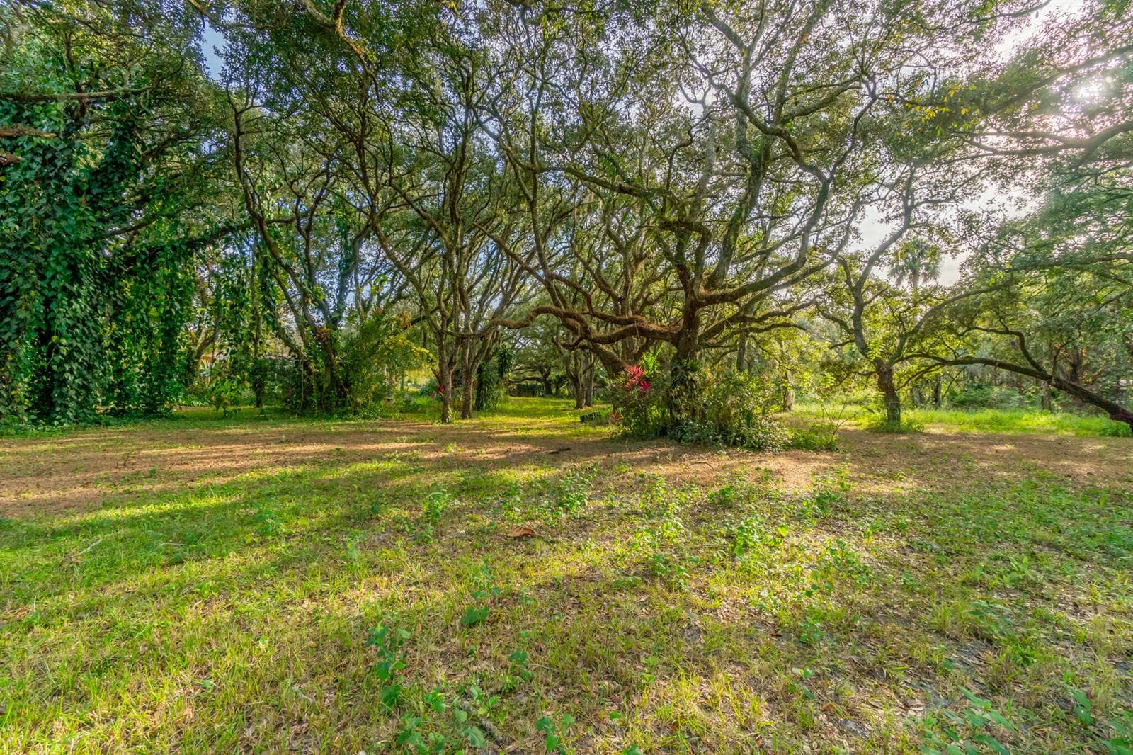 DSC05734-HDR