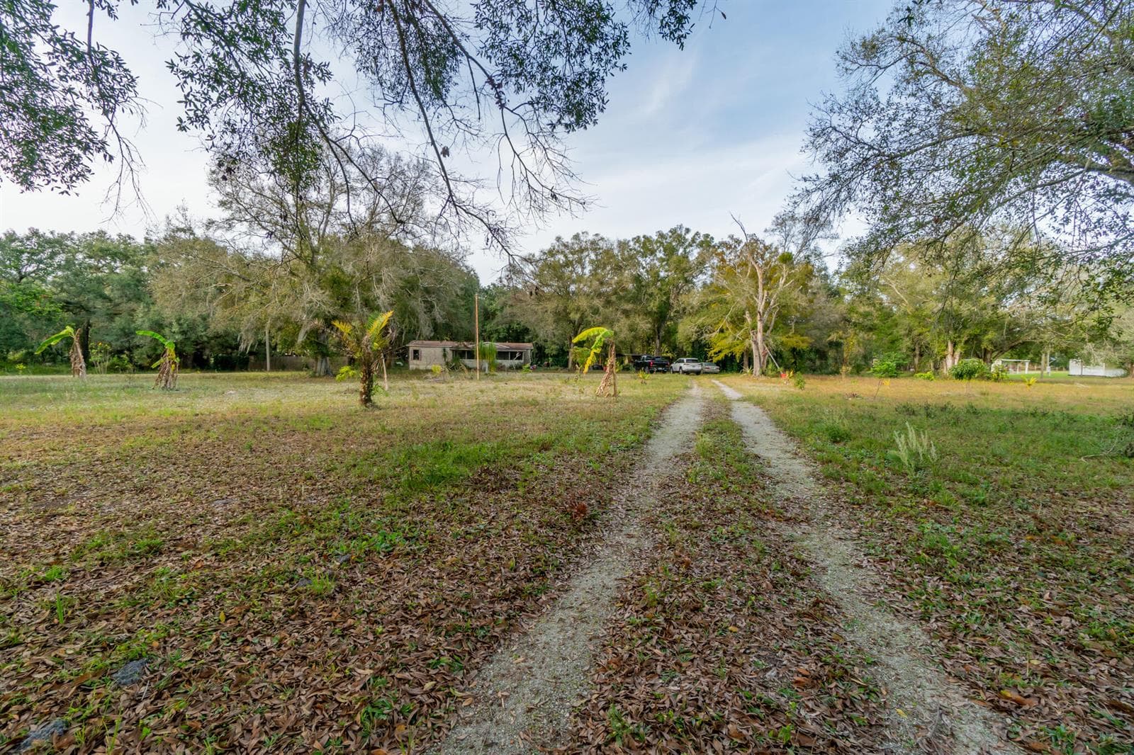 DSC05824-HDR