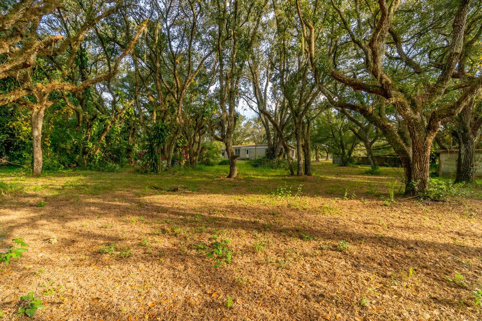DSC05743-HDR