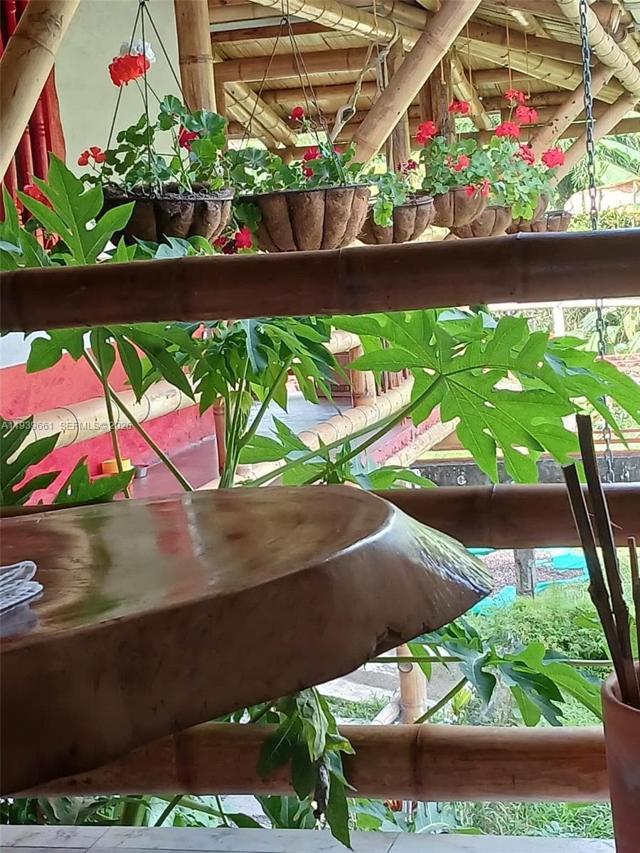 Quimbaya Colombia, FL 0