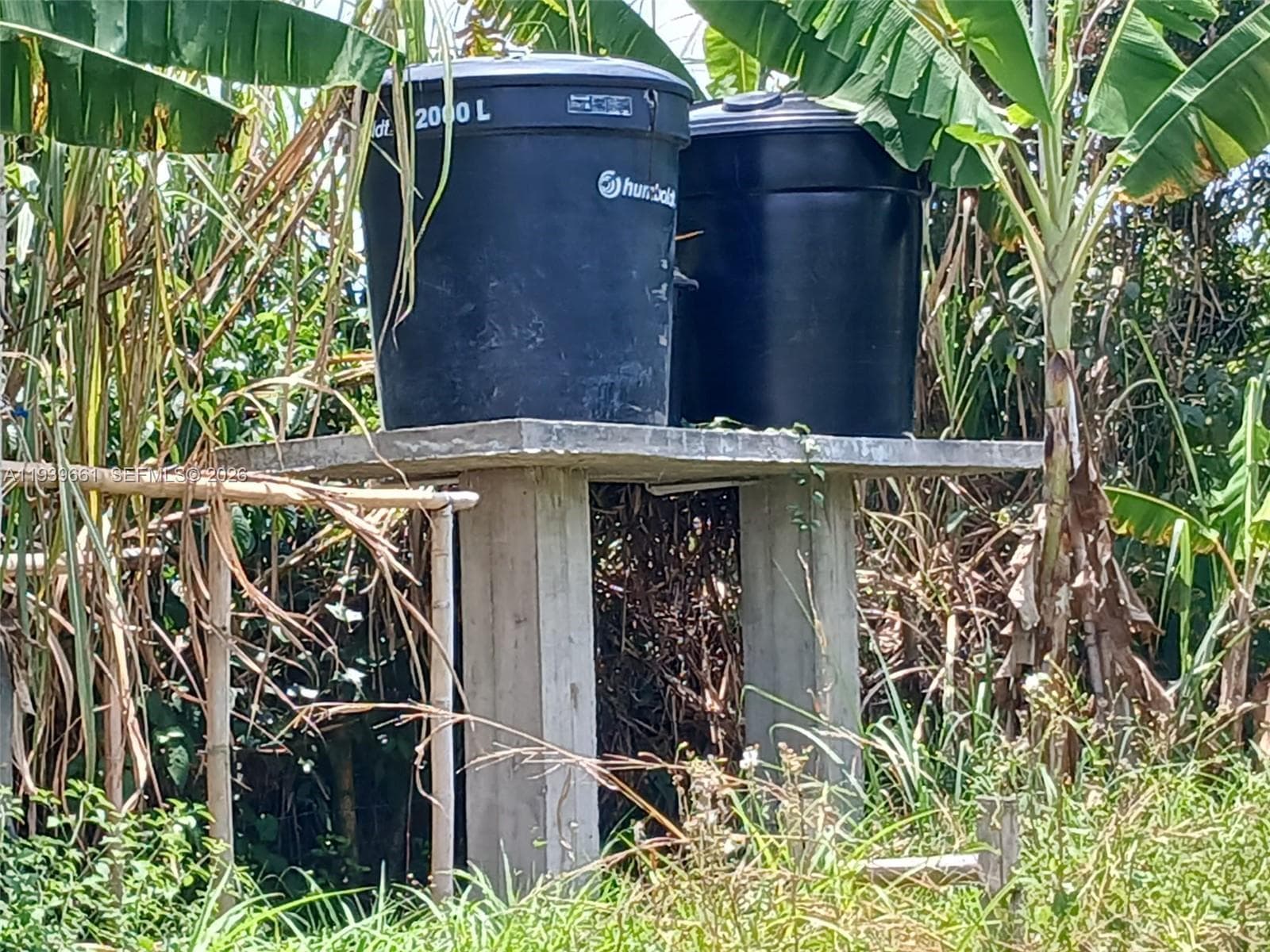 Quimbaya Colombia, FL 0