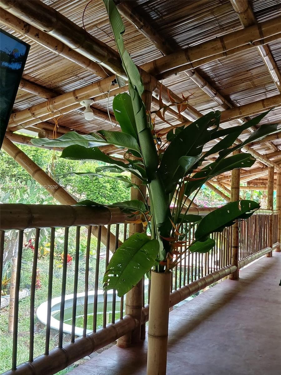 Quimbaya Colombia, FL 0