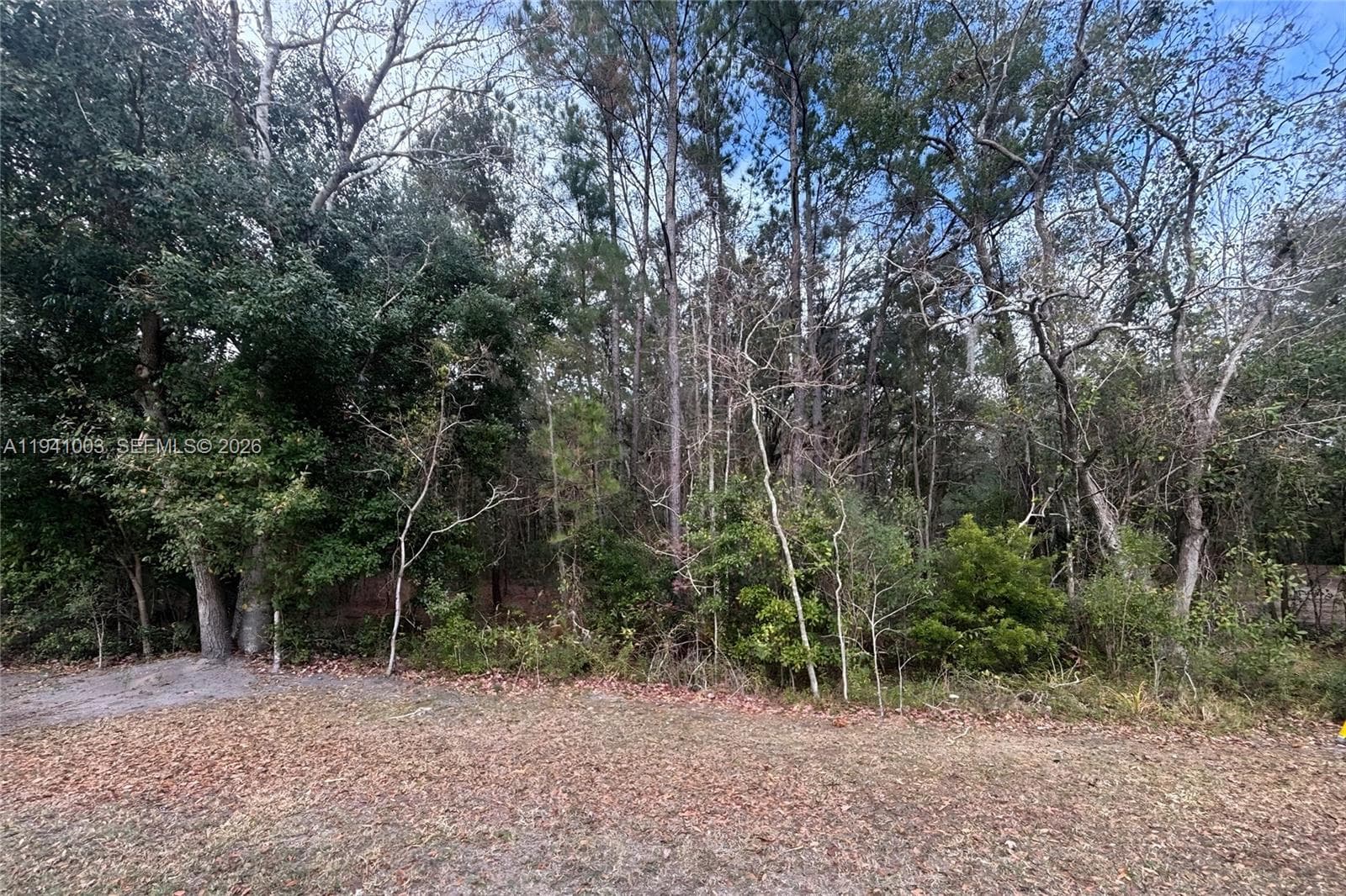 0 Landward, Other City - In The State Of Florida FL 32068