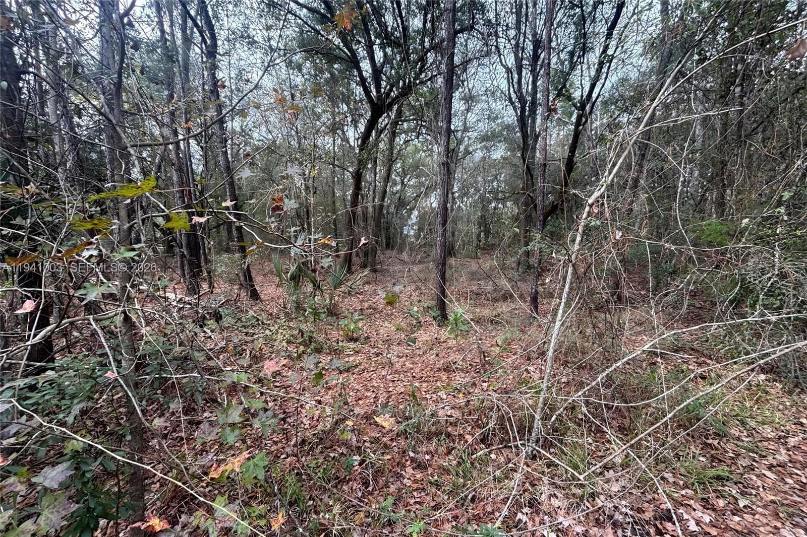 0 Landward, Other City - In The State Of Florida FL 32068