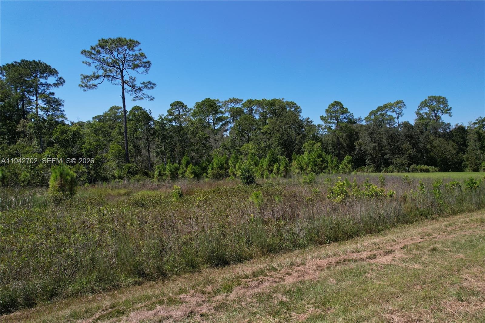 0 JB CARTER RD, Other City - In The State Of Florida FL 33844