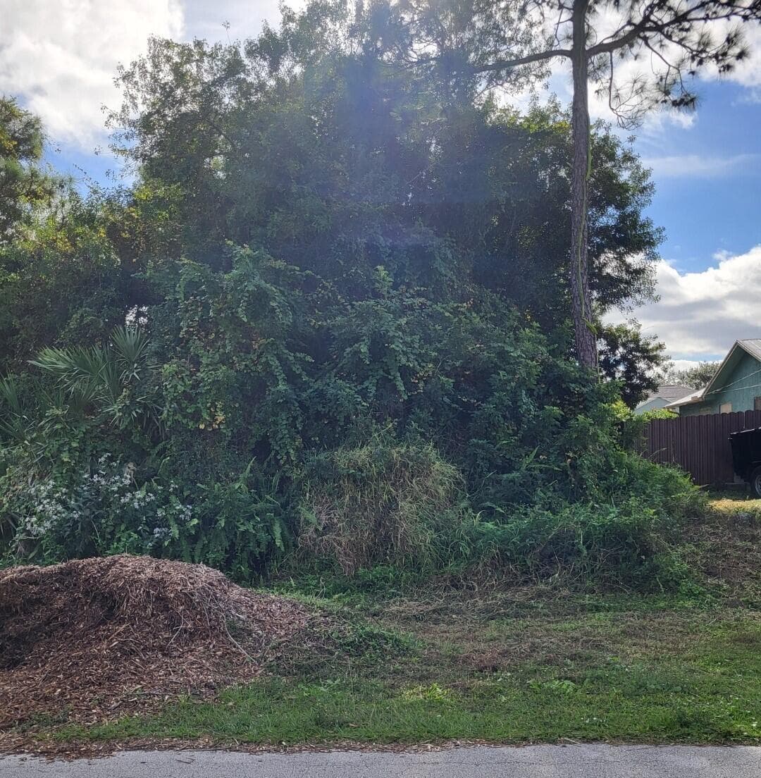 SW Fern Cir 6