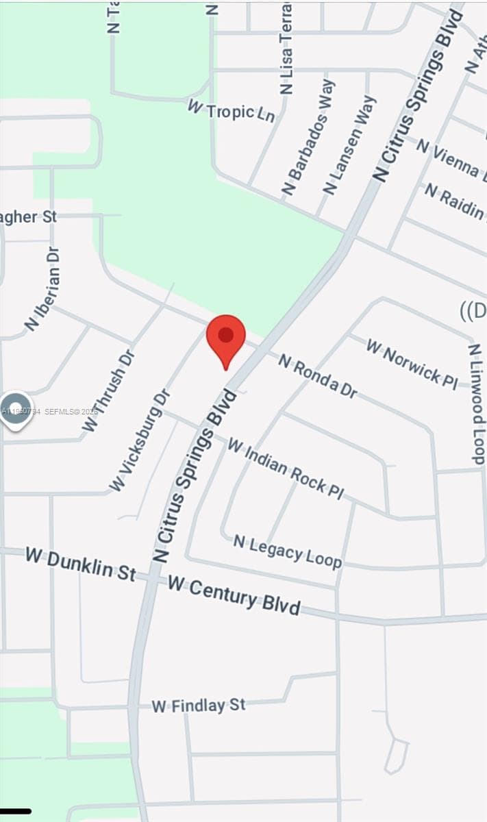 Google map view